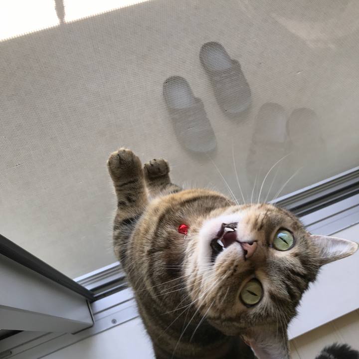 Eb80a7a7 4b1d 48af 87b0 ae92af8e77dd 1527228174352