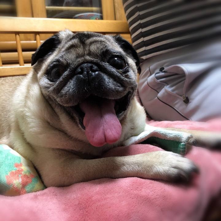 Eb80bf6d 79ec 41e5 bed9 1c86883c1b65 1527421699991