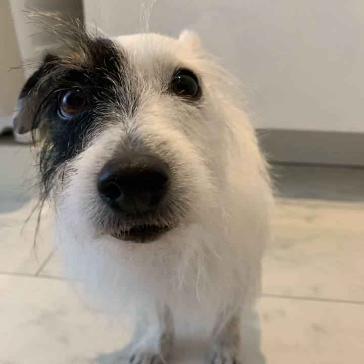 Eb80bfc9 e967 4434 8ebb cf2da6804d40 1709514638942