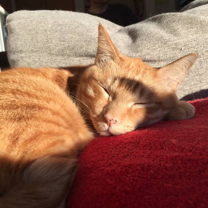 Eb80d9bc 9389 4217 8767 481130e72de5 1544968862864