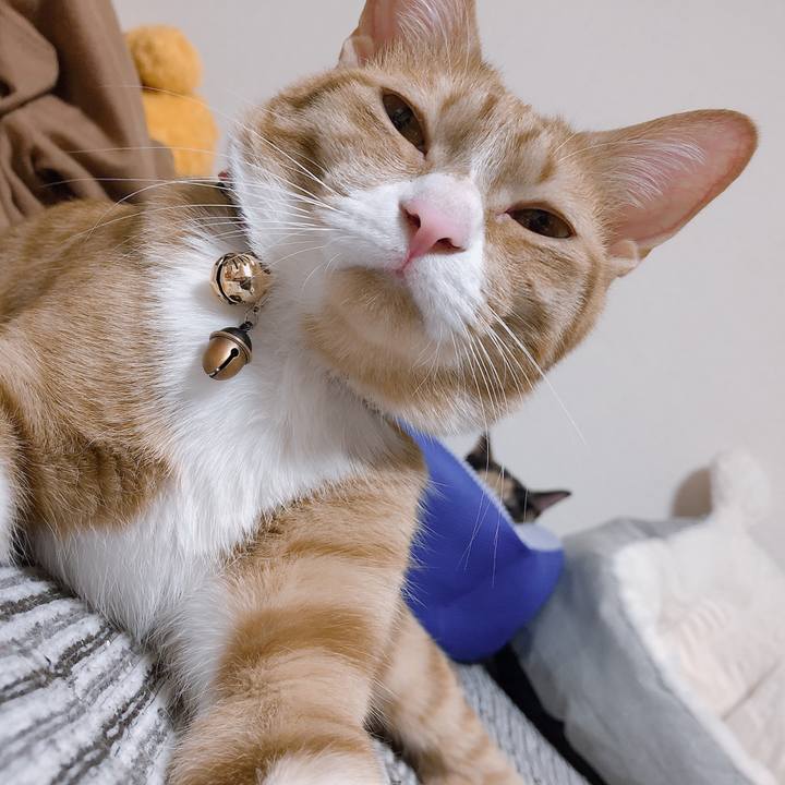 Eb80e242 997a 4dc6 a704 095cd66995b1 1570885344365