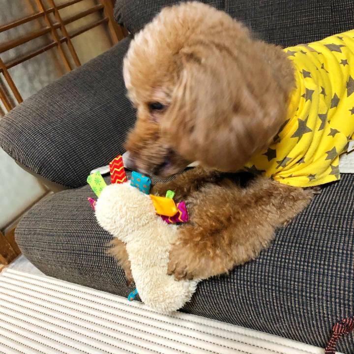 Eb80f17b 7d9e 4a2a 9968 6b806bab8a51 1621034836184