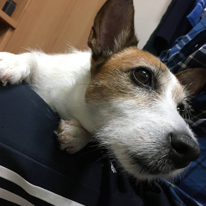 Eb80fd23 5b39 4689 84ff c8d715af1200 1592522685219