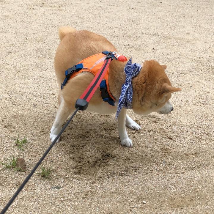 Eb8123d0 f00e 4035 affa 1877fa4e2820 1599092623997