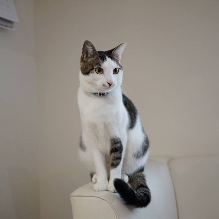 Eb812cf8 0215 4285 9cee 75153c4d8471 1512603319817