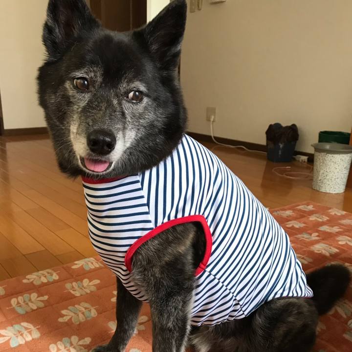 Eb814afc 811e 4d41 a6da 7c50bc750b83 1558444706327