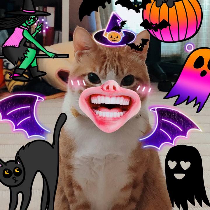 Eb816b2c 400f 4c78 bbd7 46c218f01f0b 1572527891833