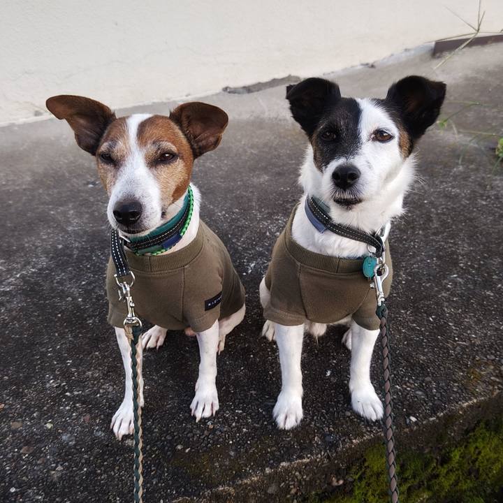 Eb817d09 5f7f 4a2f add3 741e2bc326aa 1758491324706