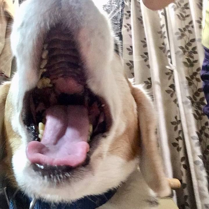 Eb818368 affa 4033 9211 8b86ccfb3bc4 1559881496653