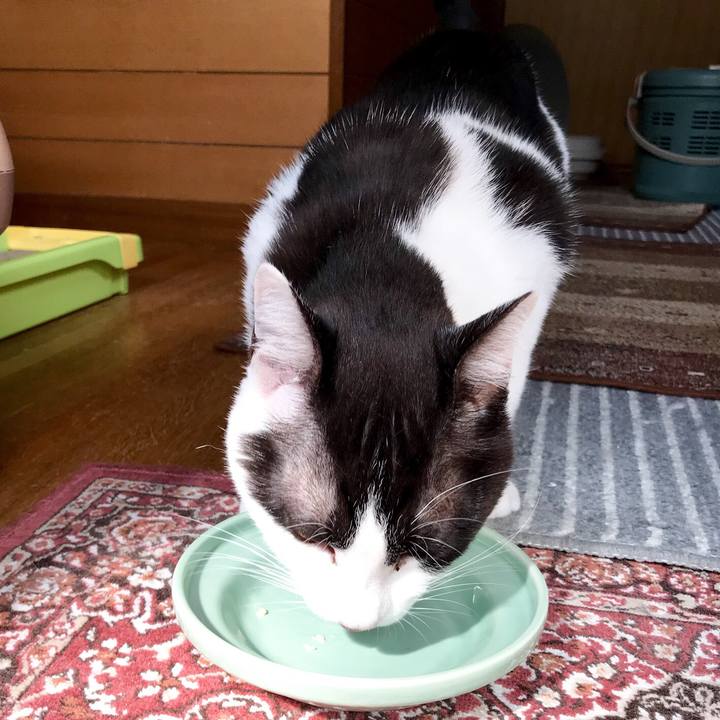 Eb818ff8 d7d6 4b90 a774 971d39253796 1529979018012