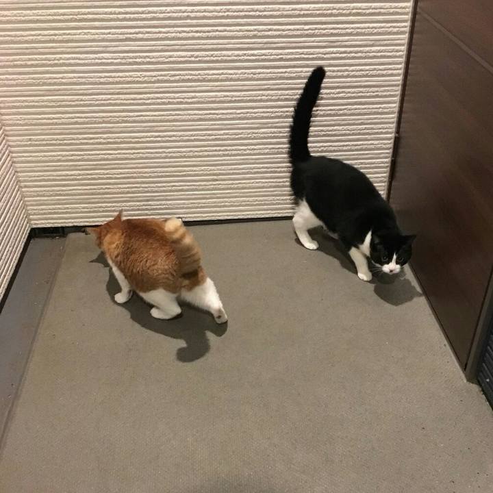 Eb8198fb 7902 4cd8 9963 72410a9b67ab 1511757703485