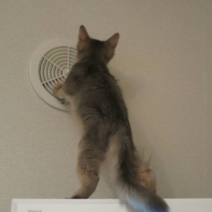 Eb819c56 4bbd 4e7d 8012 ab7d214a0a69 1541592397167