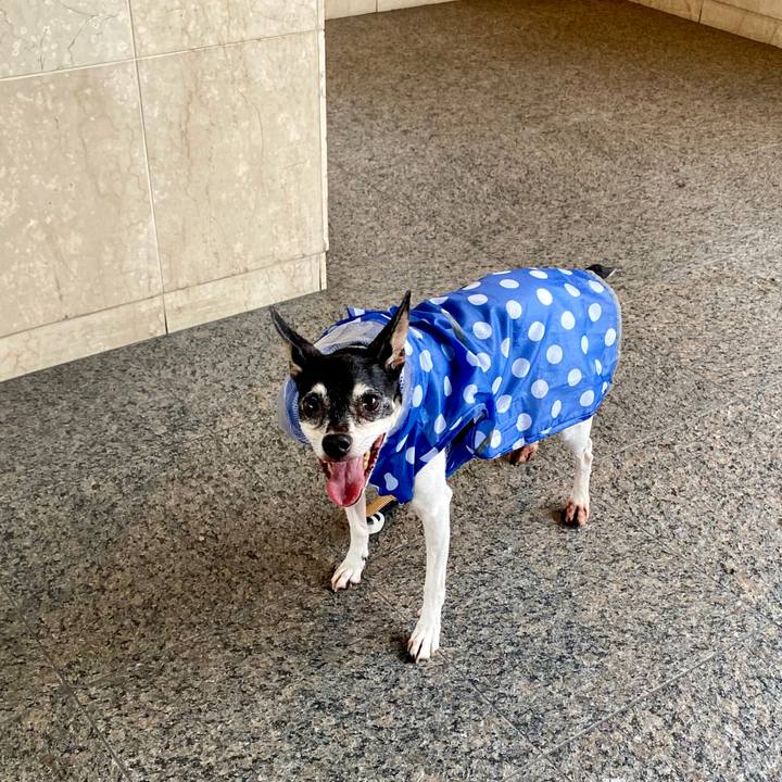 Eb819fdb ef11 48aa a656 2c75c91b6001 1595581236885