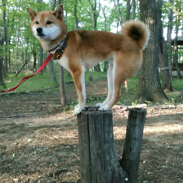 Eb81a034 d47f 490f a87d 7e49852b9a70 1558921010974