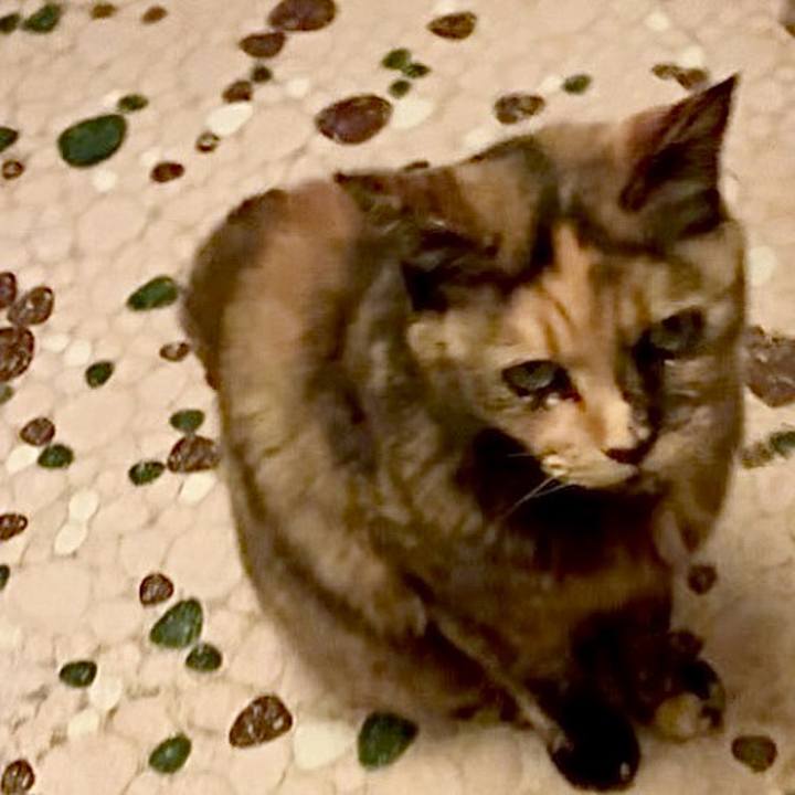 Eb81b9a3 d35b 4b16 9b63 f5ca33f83f3a 1745525562045