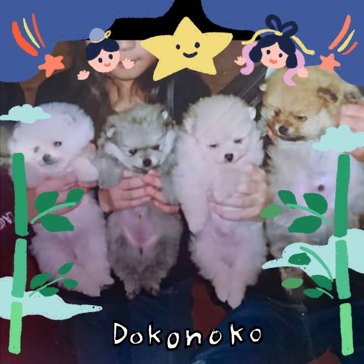 Eb81c223 4db2 4efc ba33 f946a5c0a68f 1720823359877