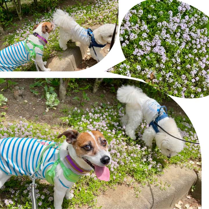 Eb81edf5 01cb 4fa3 a94d 1200b79614ef 1747385247801