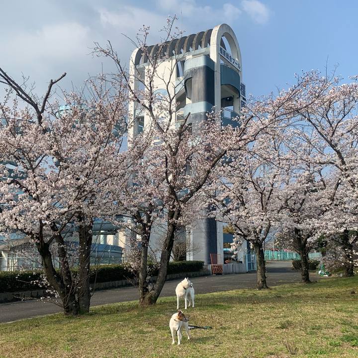 Eb822385 70b6 466c 8bff dd9bf2d0718d 1554513154687