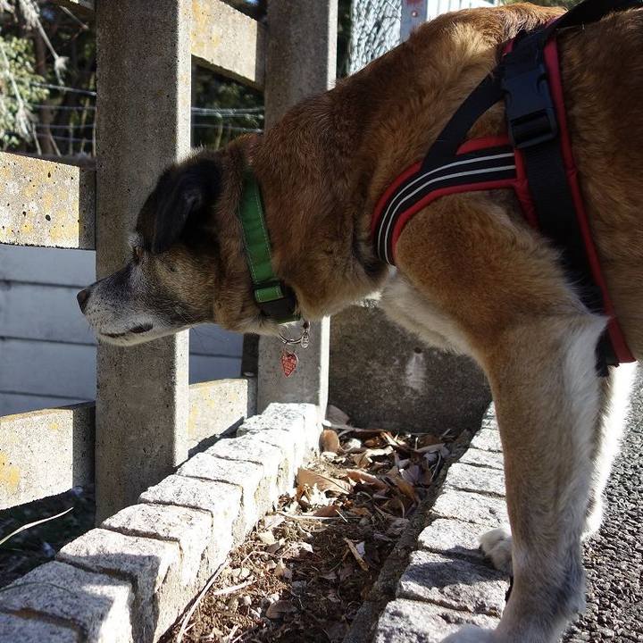 Eb82a1c9 147c 4605 a4e8 28be6648cea3 1518917565237