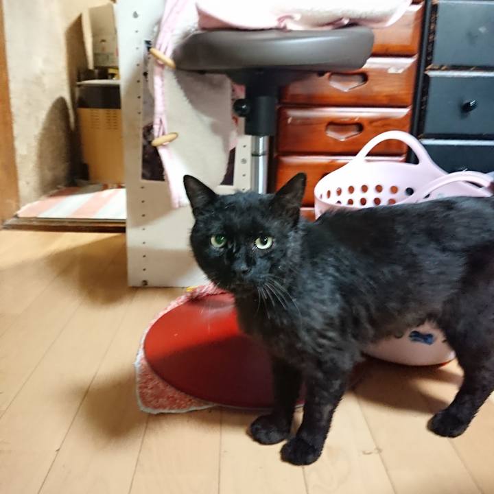 Eb830c7c d48a 43d6 a2f3 1f82e5d3b876 1624102837390