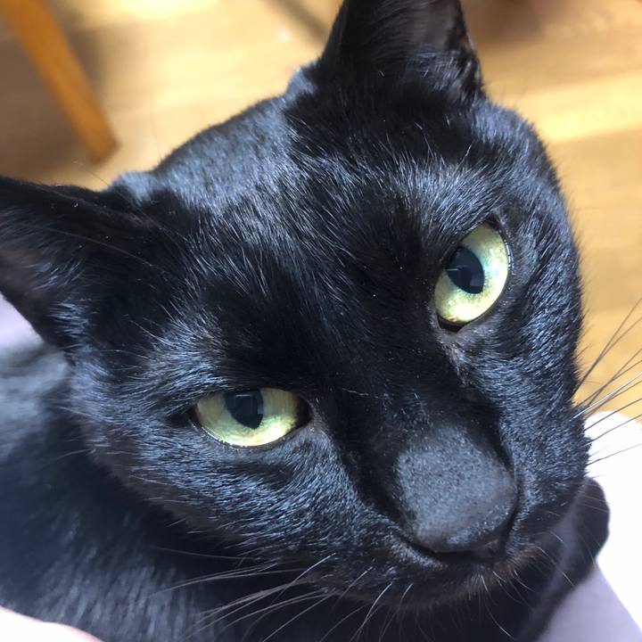 Eb832ad7 36ce 40f2 931d 96a074c4f8b5 1706345434846