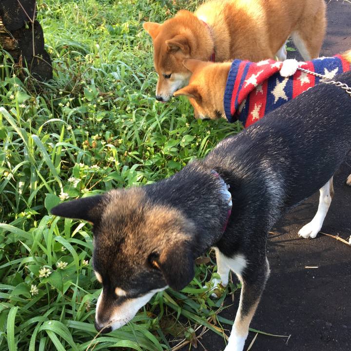 Eb834c49 bd27 4973 bb94 cb8aa390f3ad 1510175318076