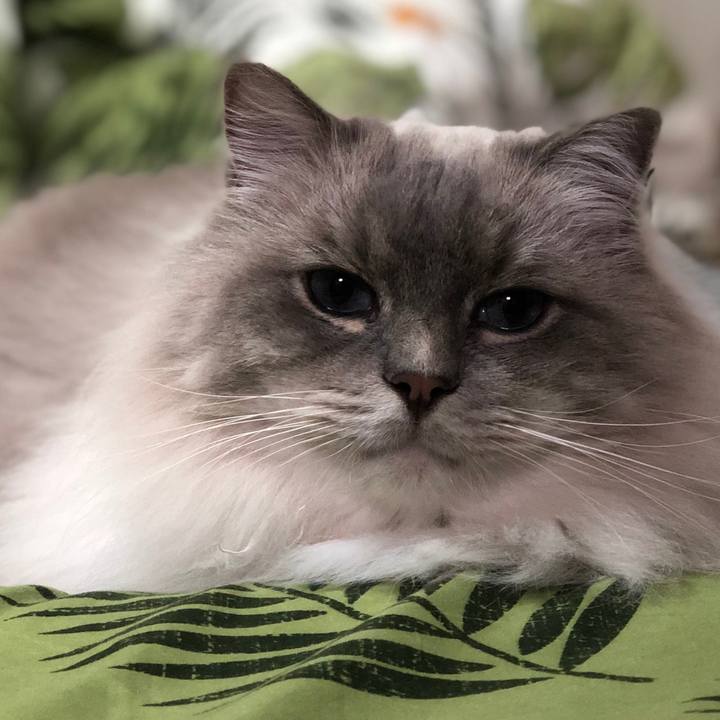 Eb83a833 9ae6 4d4c 815a b0cc4d263137 1543757553567