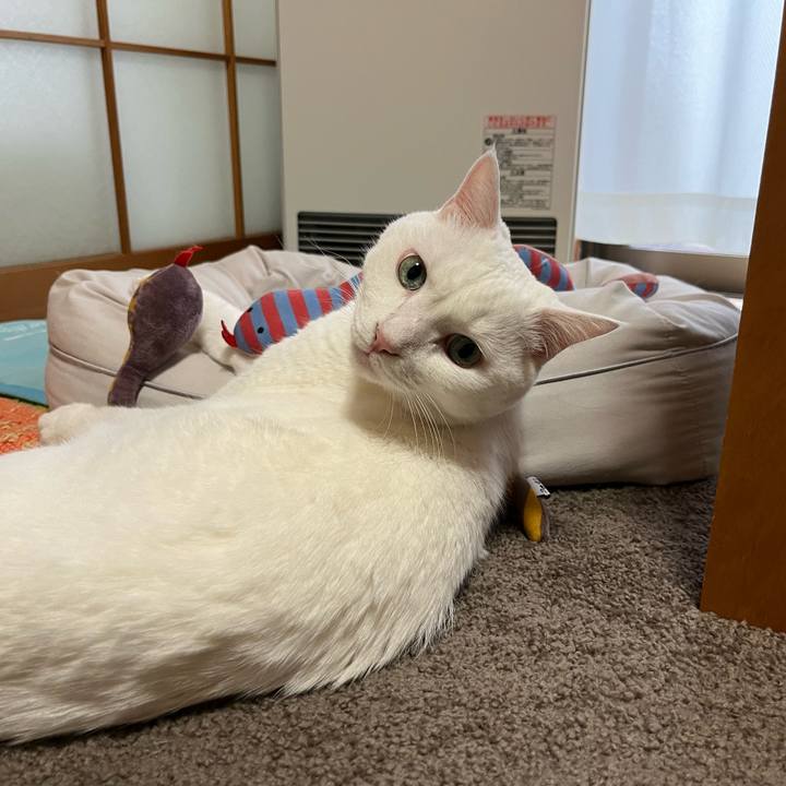 Eb83bbff 4df7 4fae 91a9 e89b1379a6c6 1732437323613