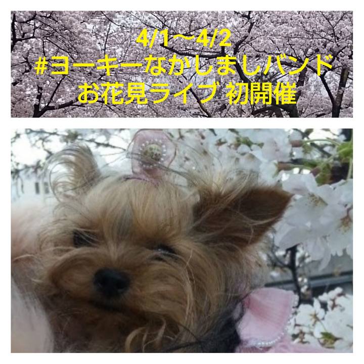 Eb83ca46 22f8 4ab0 bddf a4cd68b1d559 1679047323416