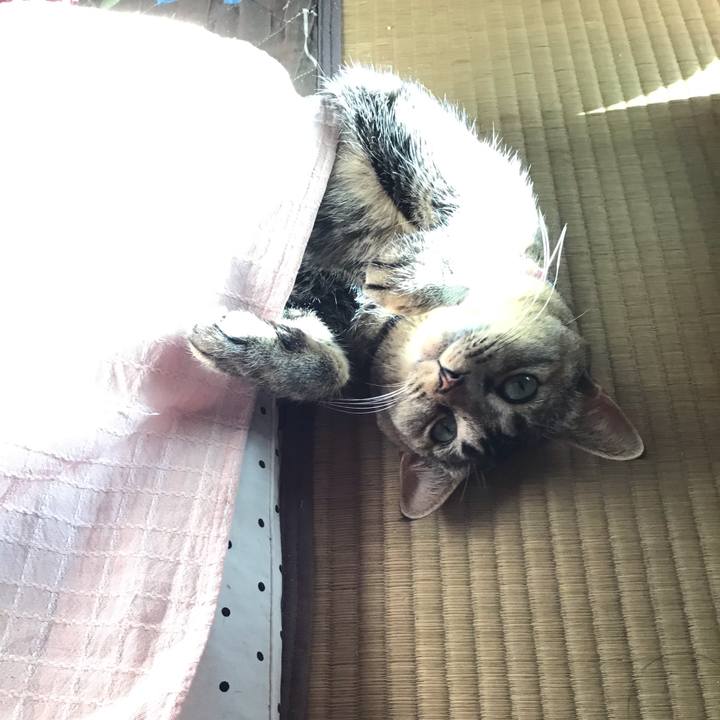 Eb83d1d9 8509 422a abe7 cab0b8399db3 1615795184815