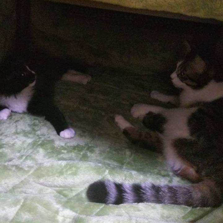 Eb83fbf1 3151 471e a305 592b896382c8 1641024383264