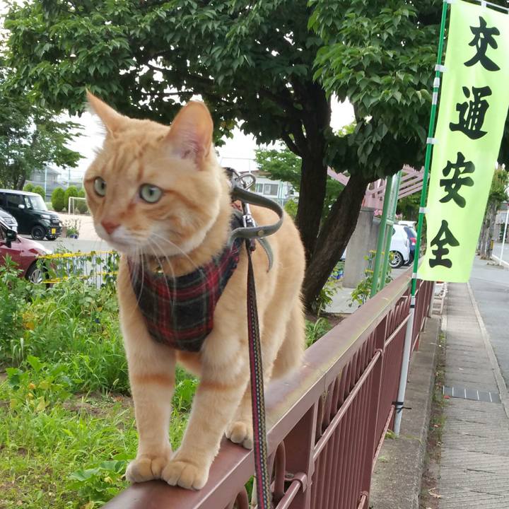 Eb842079 eed5 4af6 8620 cdcb83cae2cb 1562800614231