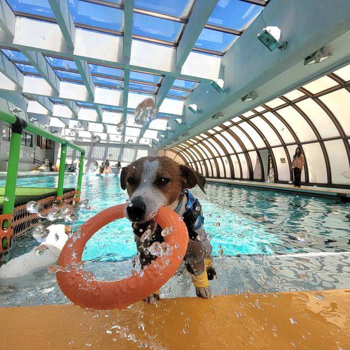 Eb842958 3b32 42ea abae 36fe925e7783 1681181128118