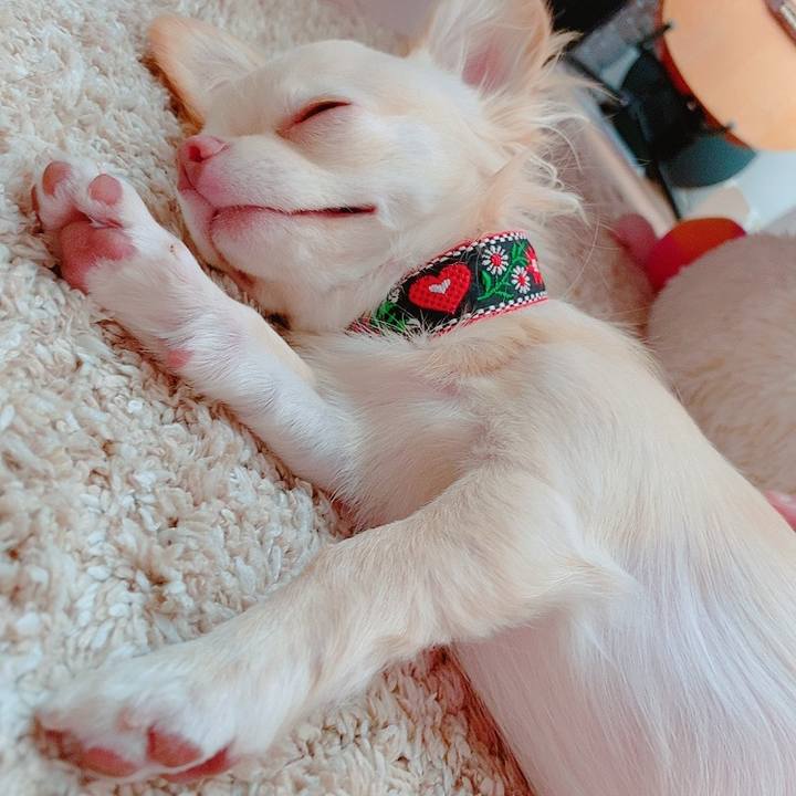 Eb8451af 1df5 48f8 bafb 874fbbf6526b 1627175929389