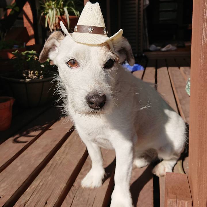 Eb845365 e097 41ef 9aba 566b91efaccd 1543363180964