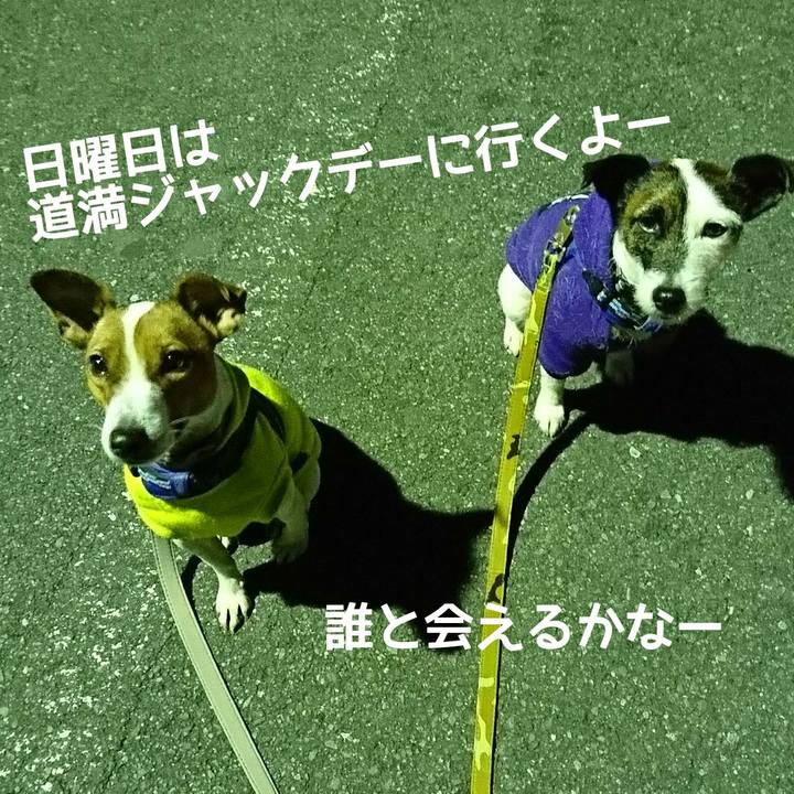 Eb846d9e 8acb 4d86 83fc 314e5f3b42ec 1547202934862