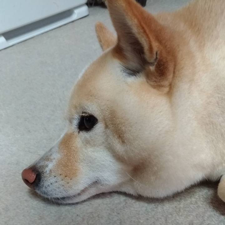 Eb847248 78b1 4672 922a 41fd55fb811d 1614324642089