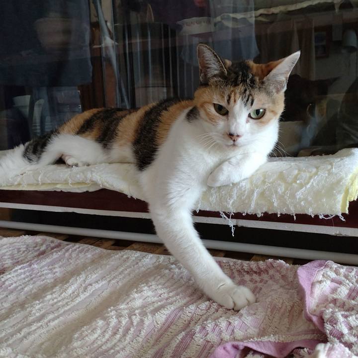 Eb84bdf0 6689 4340 b25c 1b993c0a6e33 1742874191195