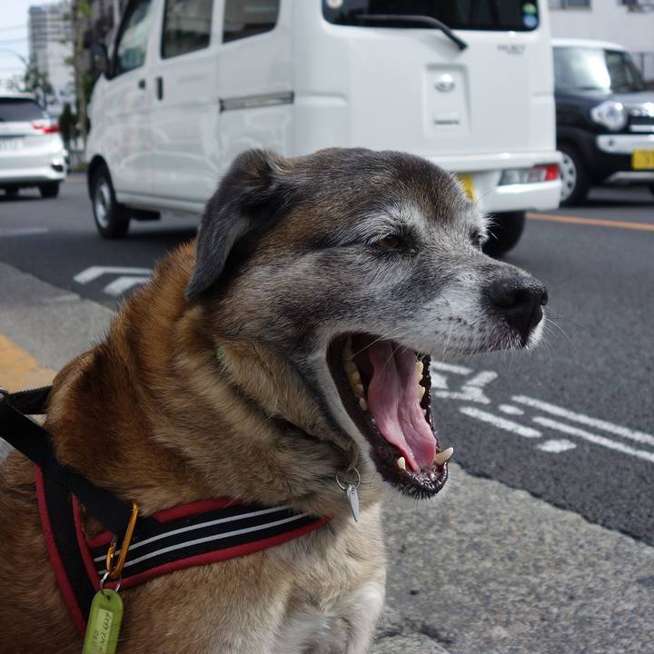 Eb84ccfc 10c4 4c56 bb3e 363fa9f0e98e 1557366079479