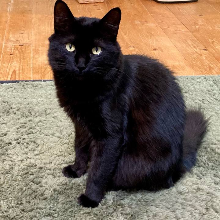 Eb84d6da f643 4439 ba85 1f14927c624b 1733445802191