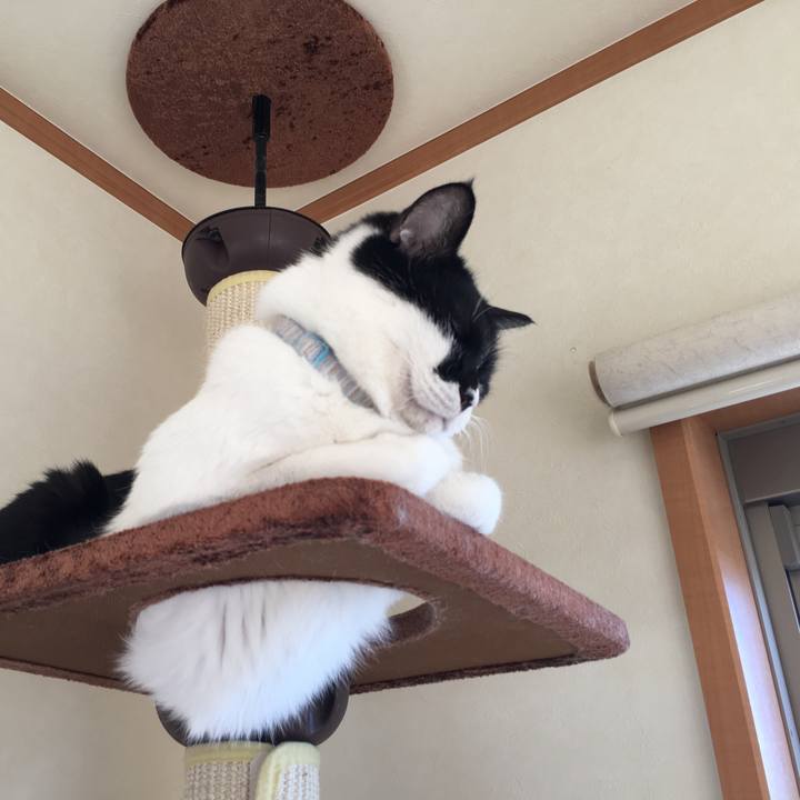 Eb84e0d7 7d4c 4a77 9116 88160a909678 1513212584868