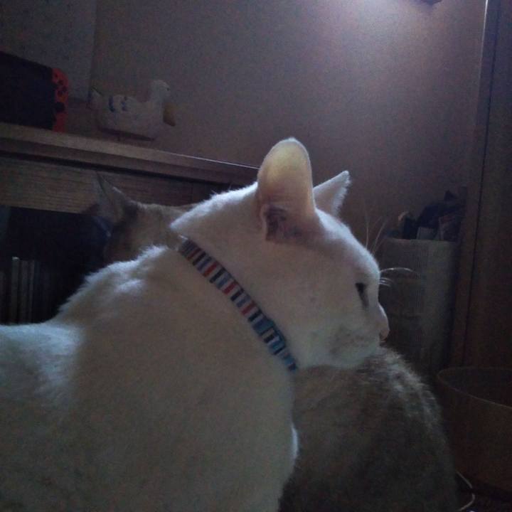 Eb84e321 a1e3 4ea0 beaa b8c32e62241f 1607825020291