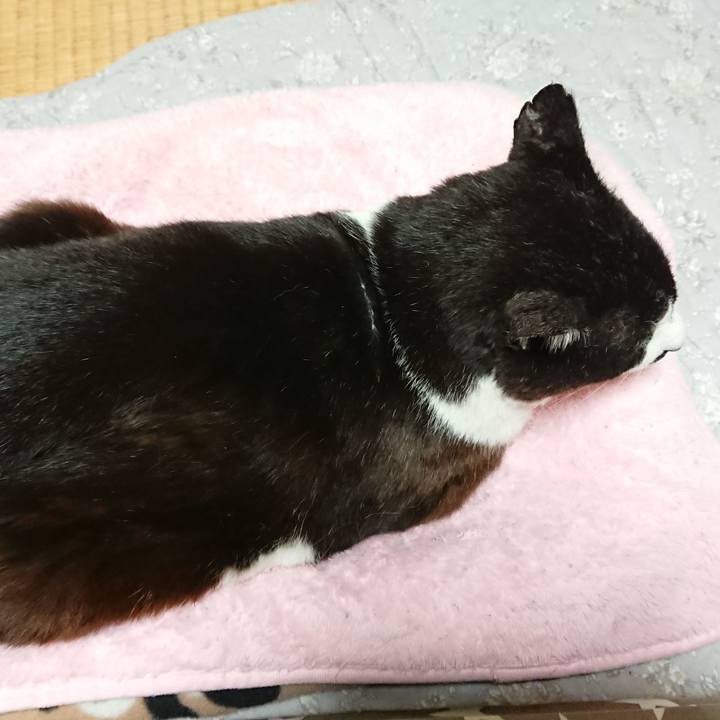 Eb8528d7 5192 45e1 92e2 320ee3ca2715 1617362573464