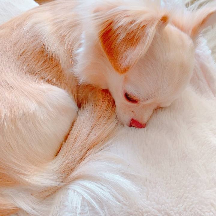 Eb8555a3 5a8d 4f1f b52d 8abfc2da872a 1633404750935