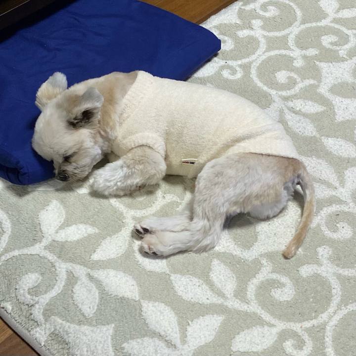 Eb85601f d32d 4332 a0a9 d47b8eb4826b 1700917204512