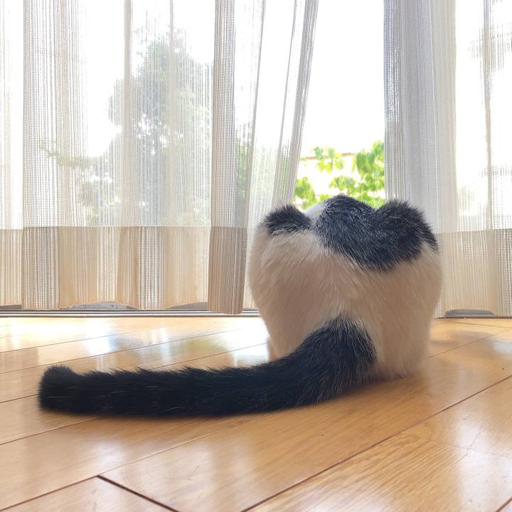 Eb8565c7 1af6 4950 95a9 0f628a82ef84 1597282491491