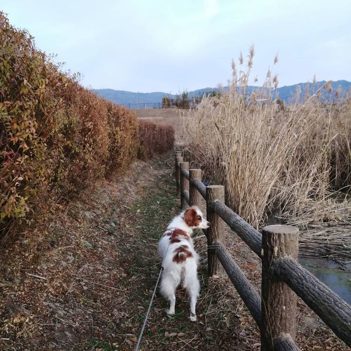 Eb857718 7eae 4411 9531 323dcba35af8 1608710963732