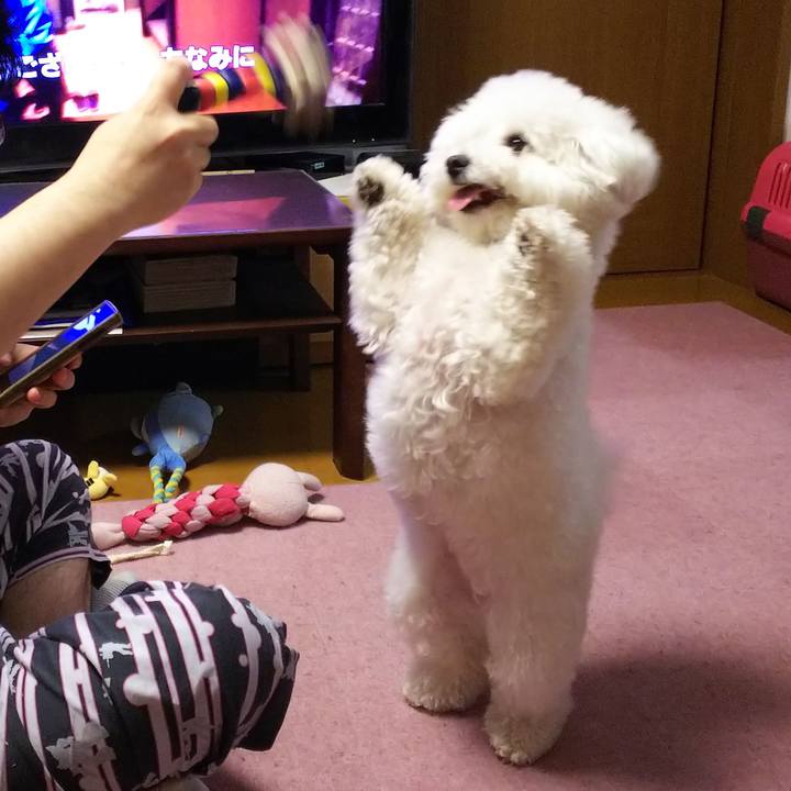 Eb85853d e64b 4024 86b4 979d529883ac 1523099503954