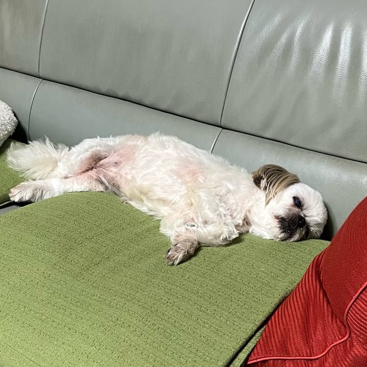 Eb85ba3e b752 4918 8485 c8522bf0434c 1699438782329