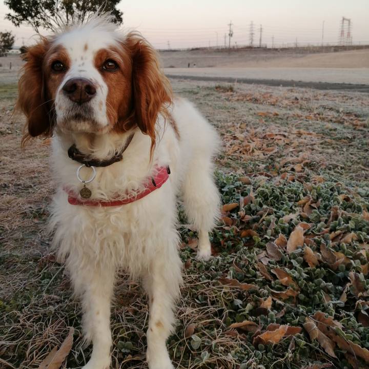 Eb85d0fb 71ce 4d23 bf5b 86ebb5e11e01 1610538726055